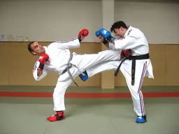 Jiu-jitsu Self defense — photo 3