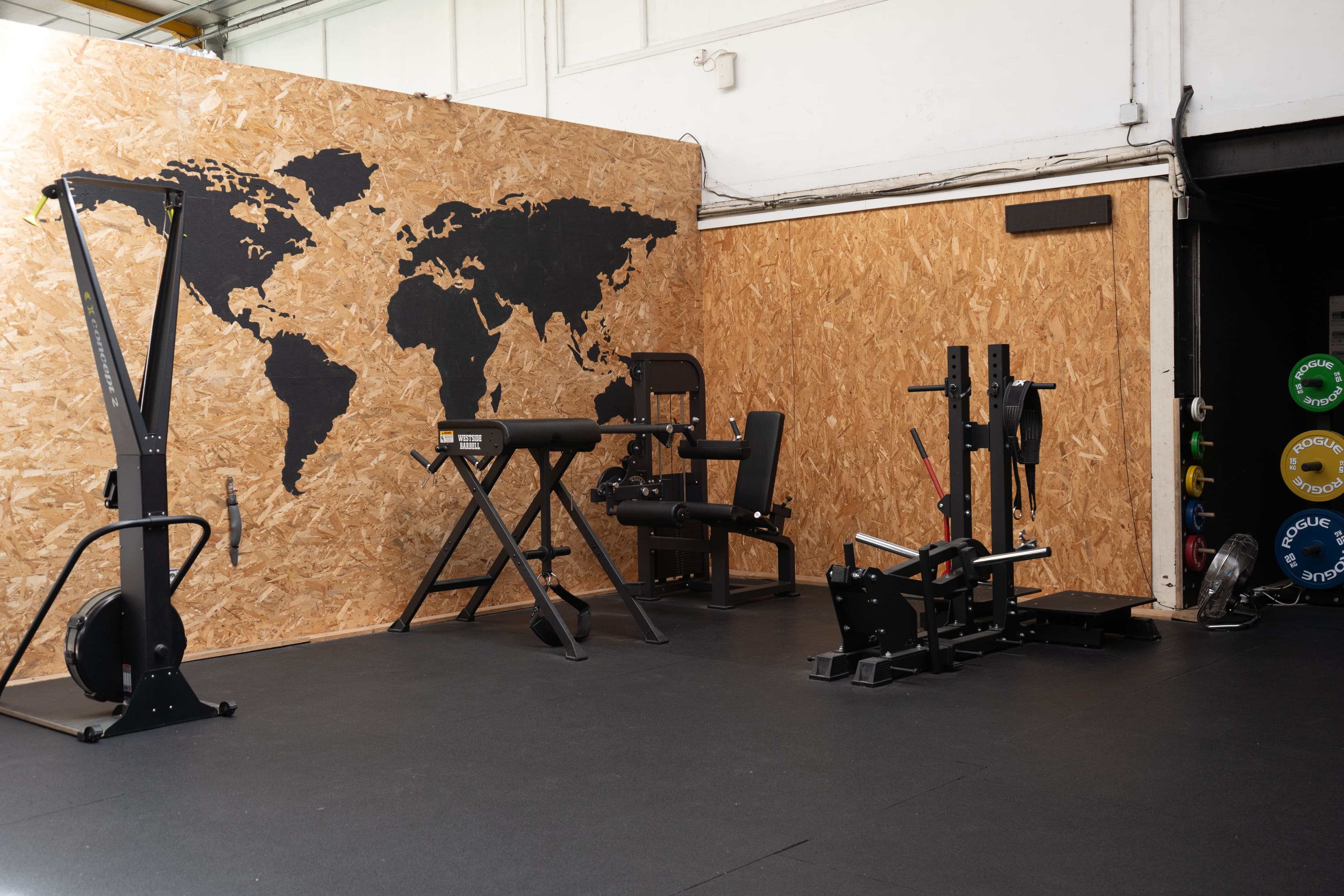 Open Gym — photo 2