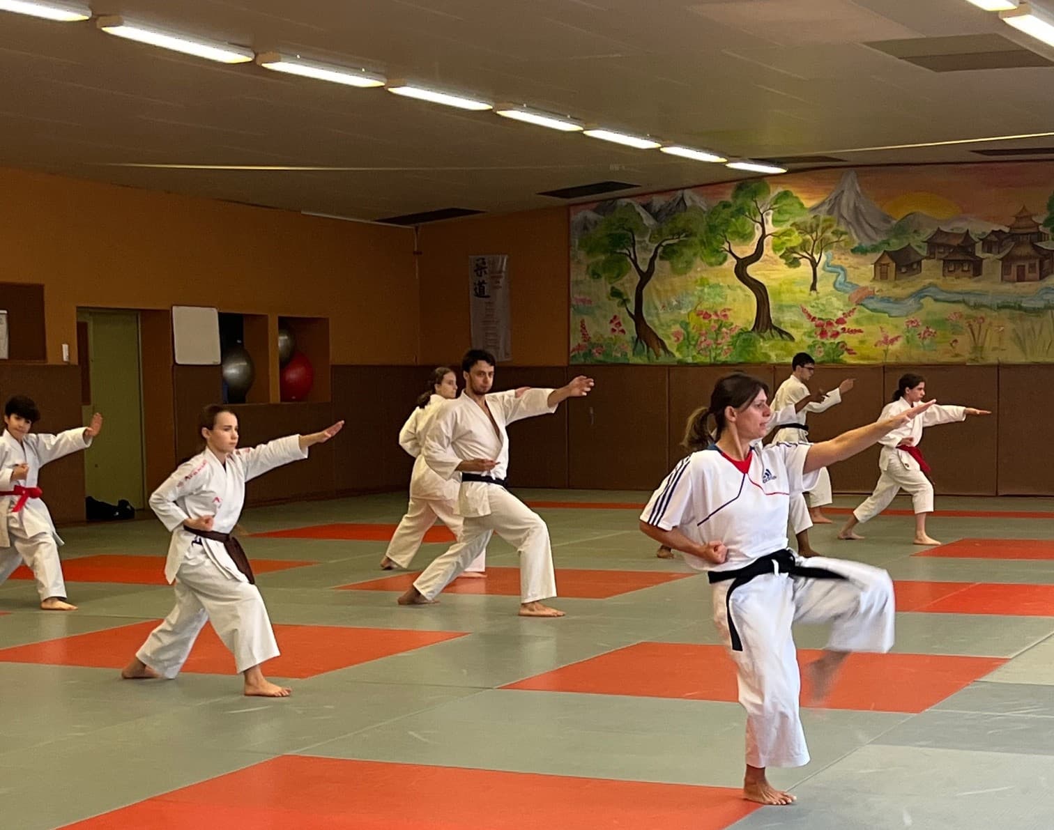 Karaté Traditionnel Kata technique